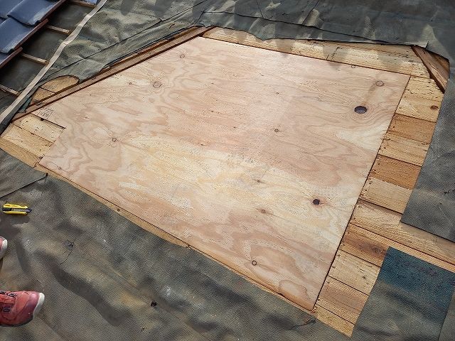 構造用合板の取り付け完了
