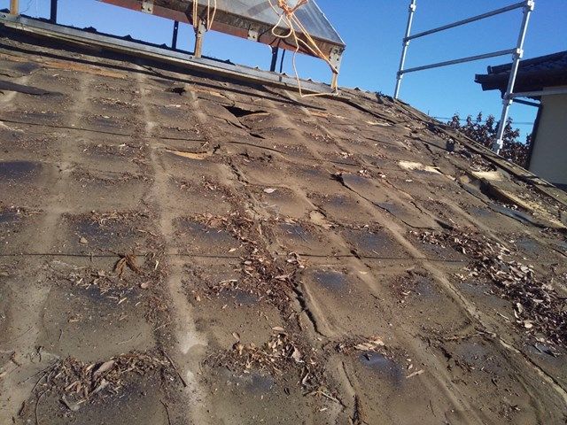 s-LINE_ALBUM_笠間市　箕輪様..
